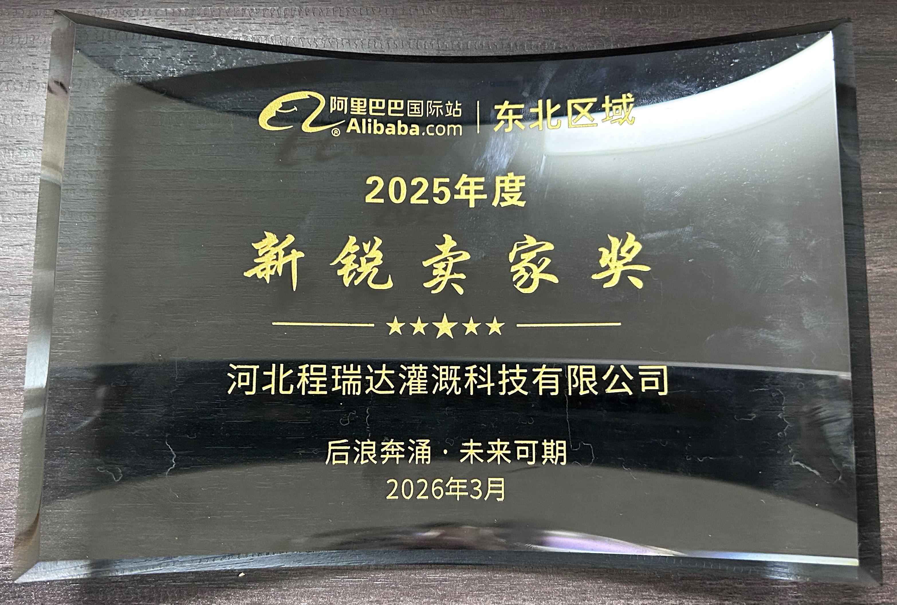 西青程瑞达灌溉 | 荣获阿里国际站新锐卖家奖